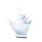 PGA TOUR男小羊皮高爾夫手套